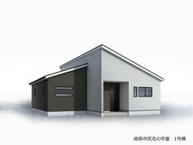 概観画像