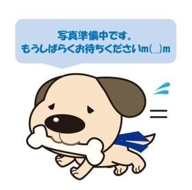 坂井市春江町江留上昭和