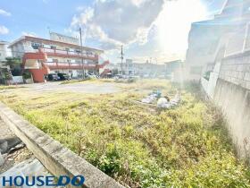 概観画像