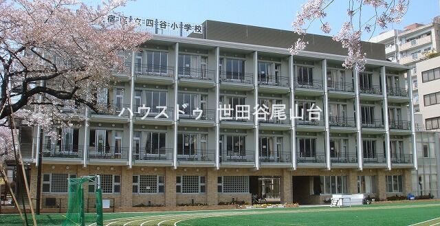 現地から徒歩8分の距離にある四谷小学校。新宿御苑近くの落ち着いた文教エリアにあり、地域との交流や情操教育が充実しています。歴史と伝統のある人気の小学校です。