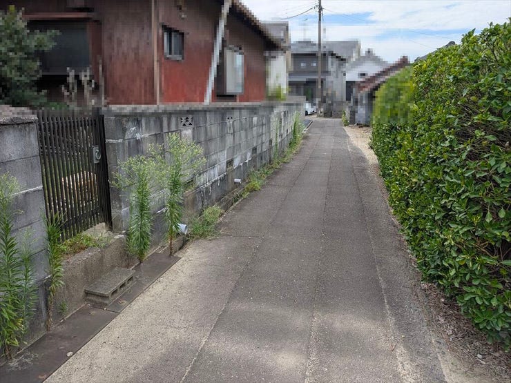 2026/8/1撮影