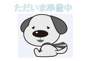 概観画像