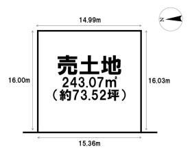 概観画像