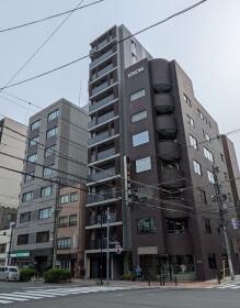 概観画像