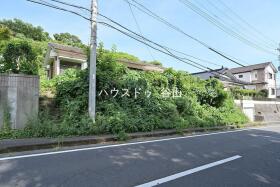概観画像