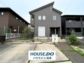 概観画像