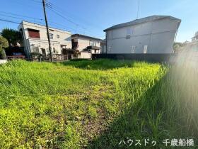 概観画像