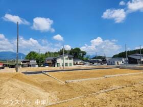 概観画像