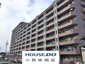 概観画像