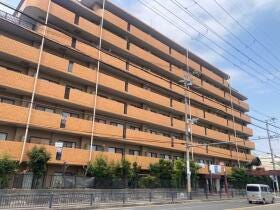 概観画像