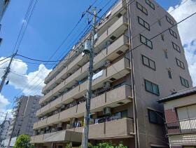 概観画像