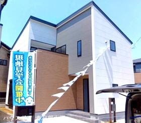 概観画像