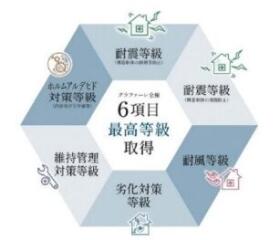 概観画像
