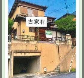 概観画像