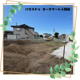 概観画像