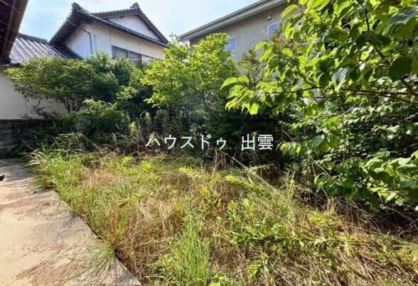 ご自分の好きな植栽を植えて理想のお庭にしてもいいですね。縁側から庭がみれますので気分を切り替えたいときなどにいいですね。