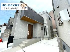 概観画像