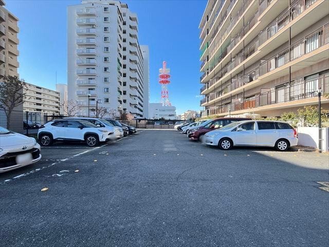 (2025年1月28日 撮影)