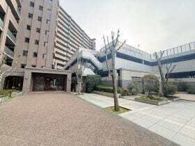 概観画像