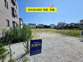 概観画像