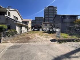 概観画像