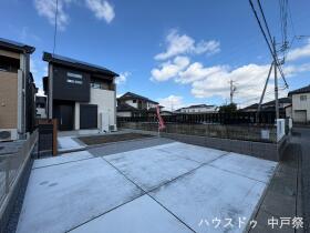 概観画像
