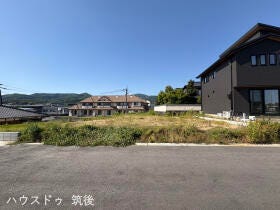 概観画像