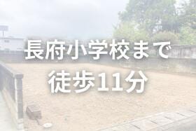概観画像