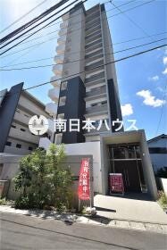 概観画像