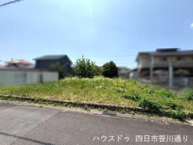 概観画像