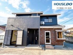概観画像