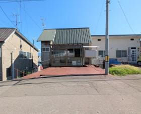 概観画像