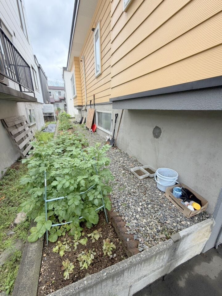 お庭の畑スペースでは、ご家庭で気軽に家庭菜園をお楽しみいただけます。
