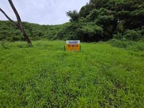概観画像