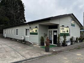 概観画像