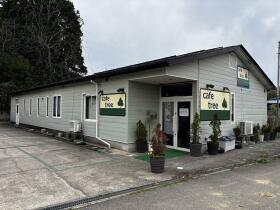 概観画像