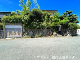 概観画像
