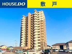 概観画像