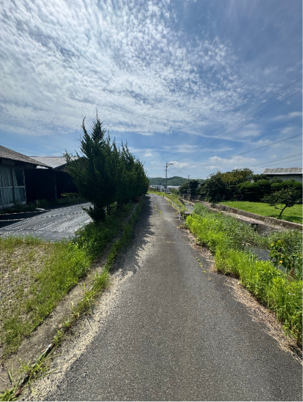 前面道路