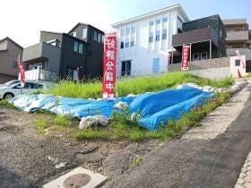概観画像
