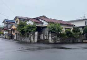 概観画像