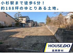 概観画像