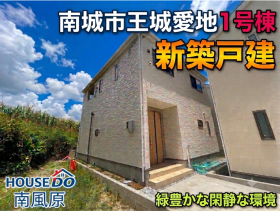 概観画像