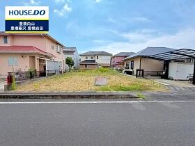 概観画像