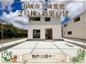 概観画像
