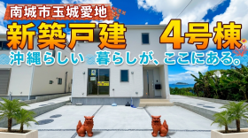 概観画像