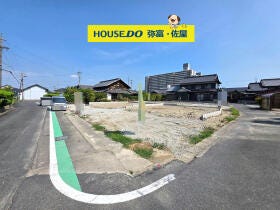 概観画像