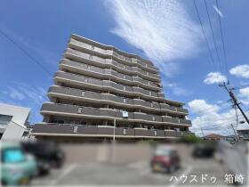 概観画像