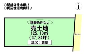 豊橋市高洲町字高洲