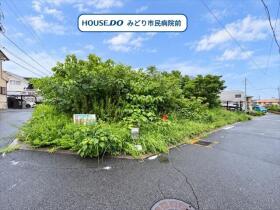 概観画像